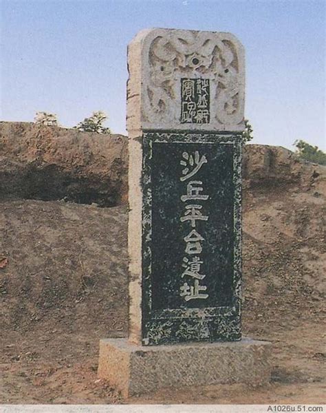 添麥菲查洛美, 莉碧嘉費格遜, 積遜莫瑪 and others. 沙丘_360百科