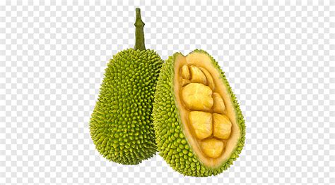 Free Download Two Durian Fruits Jackfruit Cempedak 3d Modeling