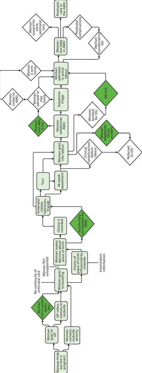 Flow Chart Of Womens Pathways Through Care Download Scientific Diagram