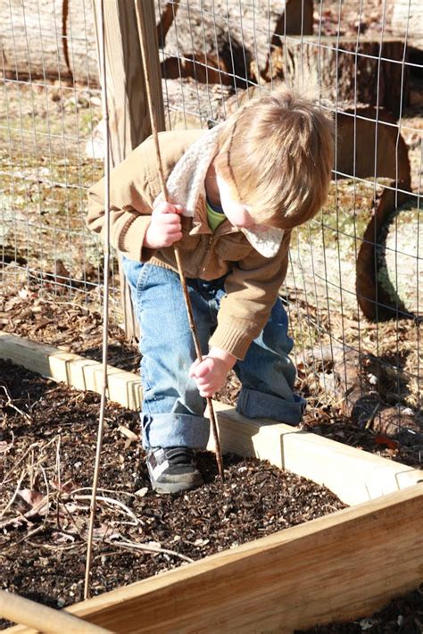 The Clueless Gardeners A Garden Blog St Pattys Day Time To Plant