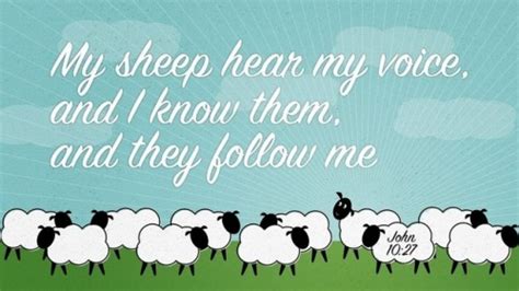 Faithful In Christ John 10 27 Kjvmy Sheep Hear My Voice And