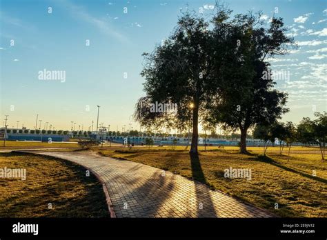 beautiful sunrise view in king fahad park at dammam saudi arabia selective focus background