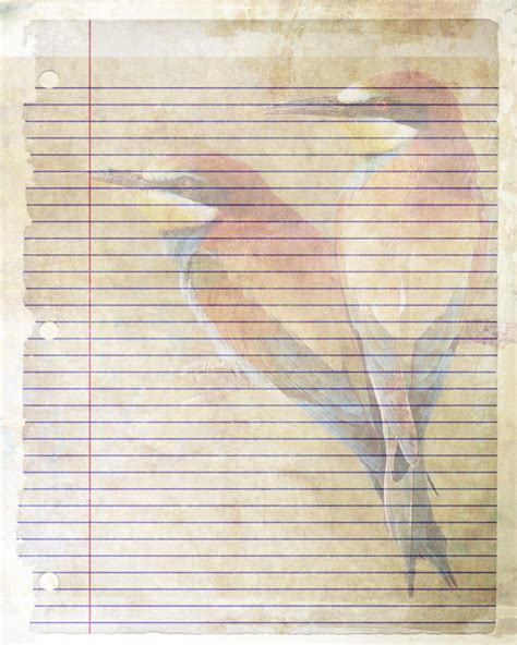 Printable Journal Page Bird Writing Lined Stationery 8 X 10