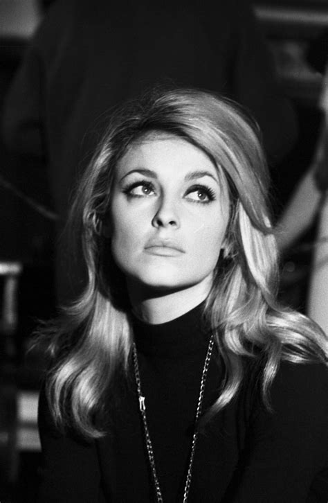 Sharon tate · theory says margot robbie doesn't play playing sharon tate in ouatih · governor nixes parole for manson follower leslie van houten · tarantino's male . Sharon Tate fotka