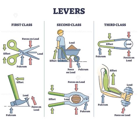 Levers Classification As Physics Force And Effort Explanation Outline