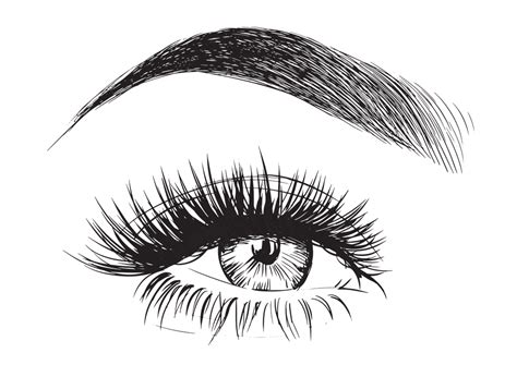 Eyebrow clipart perfect, Eyebrow perfect Transparent FREE ...