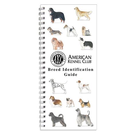 Breed Identification Guide Akc Breeds Akc Dog Breeds Akc
