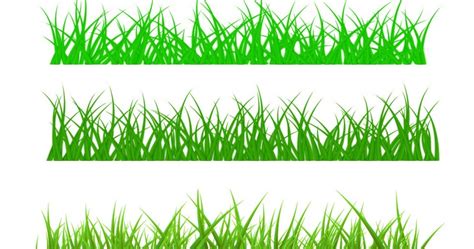 Eps Vector Spring Grass Free Vector Images And Graphics