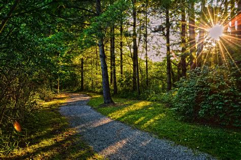 Evening Path Free Stock Photo Public Domain Pictures