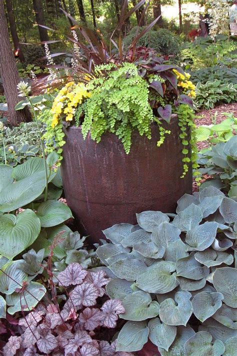 Pin By Lisa Hyland On Gardening Shade Garden Hostas Hosta Gardens