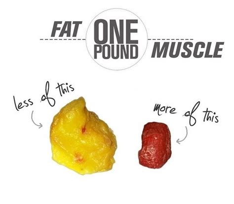 1kg of fat vs. 1 kg of muscle. The gym does not burn fat and turn it in