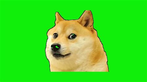 Shocking Dog Meme 😎😎 Green Screen Bluster Gaming Youtube