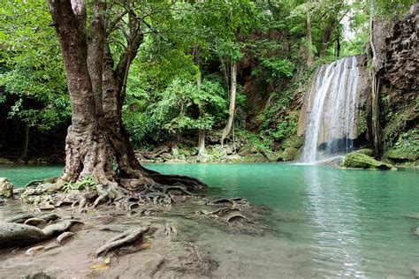 Waterfall In Tropical Rainforest 1 By Pidjoe