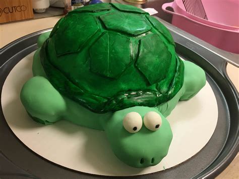 Turtle Cake I Made For My Sisters Birthday Fondant Was Made From