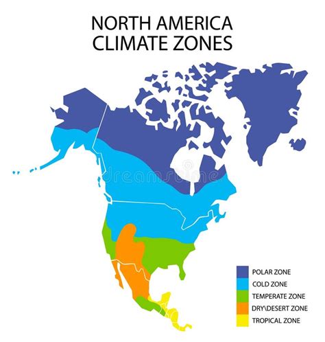 Mapa De Zonas Climáticas Mundiales Infografías Geográficas Vectoriales