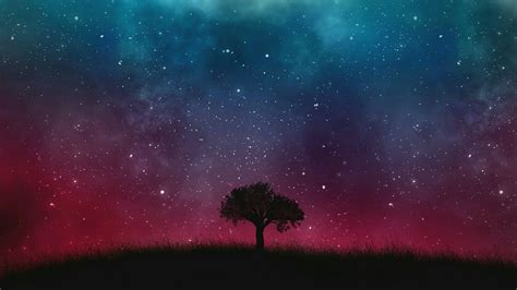 Lone Tree Under The Starry Sky Fantasy Art Wallpaper Backiee