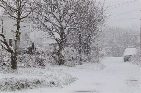 Snow In Cornwall In 40 Pictures Cornwall Live