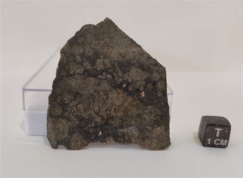 Meteorite Achondrite Nwa 8555 Classified Eucrite Monomict Polished