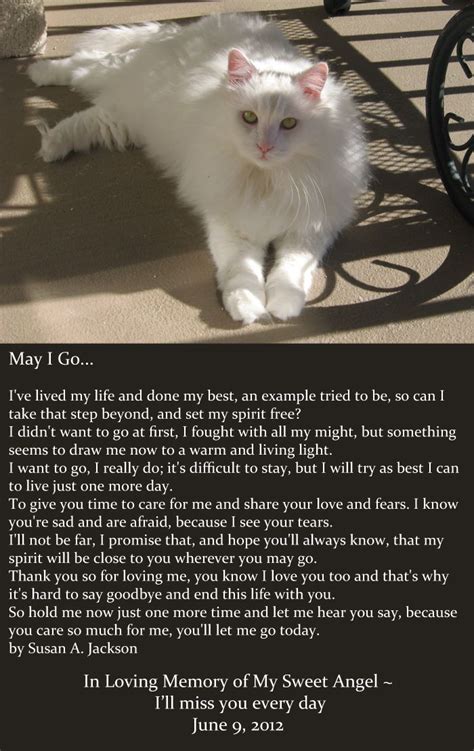 Our feline friends reveal a sensory, and even spiritual, world beyond the human. In Loving Memory :: June 9, 2012 | Pet grief, Pet poems ...