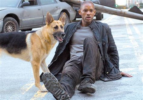 I Am Legend Movie Review And Film Summary 2007 Roger Ebert