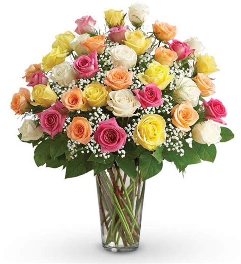 Maybe you would like to learn more about one of these? I'm Sorry Roses | Avas Flowers