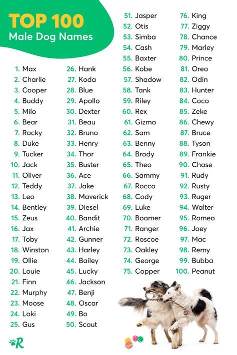 40 Dog Names Ideas In 2020 Dog Names Popular Dog Names Most