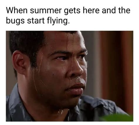 40 Best Summer Memes Thatll Help You Cool Down In 2024