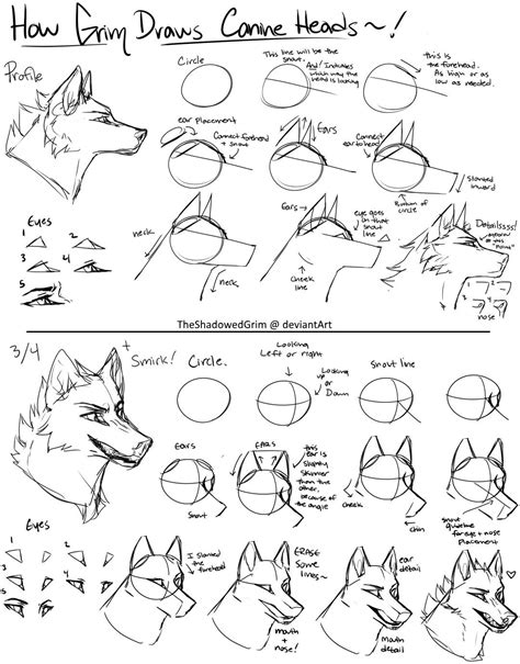 How To Draw Furries Step By Step At Drawing Tutorials