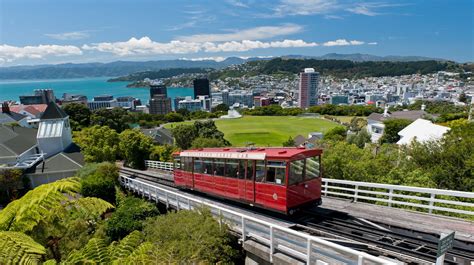 Must Visit Attractions In Wellington New Zealand