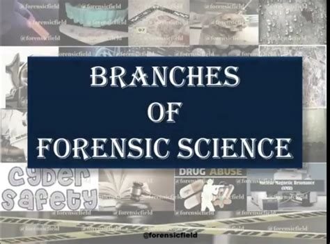 Branches Of Forensic Science Forensics Blog