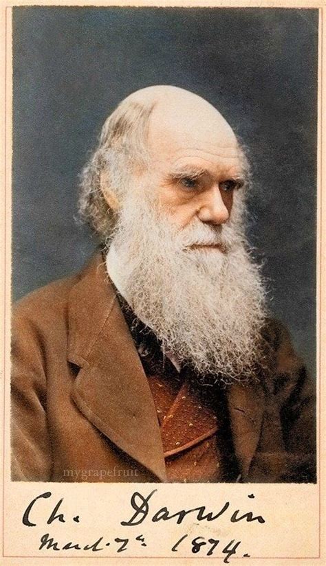 Charles Darwin Robert Darwin Charles Darwin Darwin