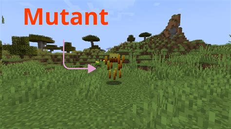 Mutant Blaze Vs Minecraft Pro Youtube