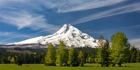 Snow Covered Mount Hood In Oregon Summer Photo Print Photos By Joseph