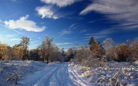 Witte neerslag als het erg koud is , als het zo koud is dat het ook nog blijft liggen kan het erg glad. Winter achtergronden | Mooie Leuke Achtergronden Voor Je ...