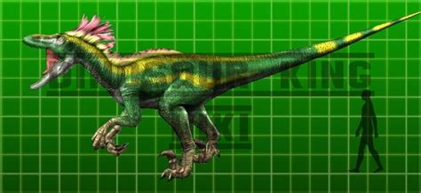 Megaraptor Prehistoric Monsters Wiki Fandom Powered By Wikia