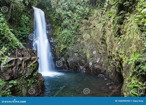 Scenic Waterfall In A Costa Rica Jungle Stock Photo Image Of Climate