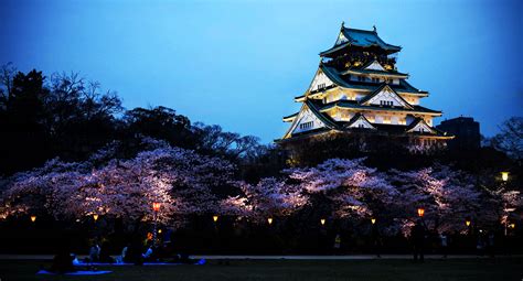 🔥 Download Osaka Castle Wallpaper Full Hd Pictures By Melissam3