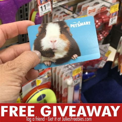 Petsmart T Card Summer Giveaway Julies Freebies