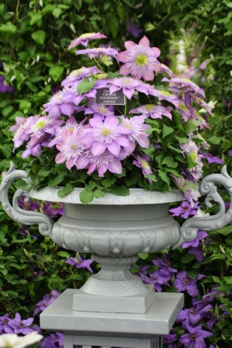 Check spelling or type a new query. Planter / Urn Arrangements | Container flowers, Beautiful ...