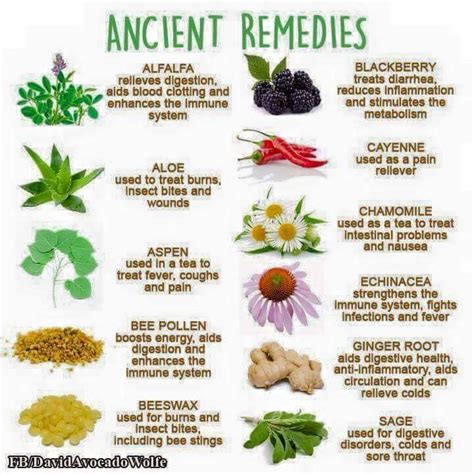 Natural Healing Remedies Herbal Magic Holistic Healing Natural