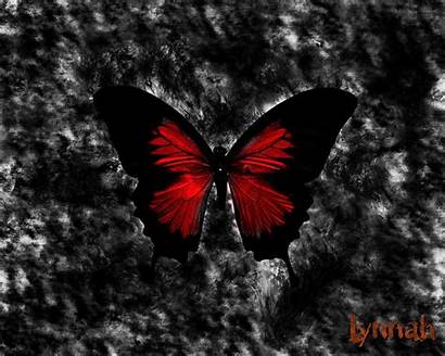 Gothic Butterfly Spectacular Wallpapers Amazing Dark Backgrounds