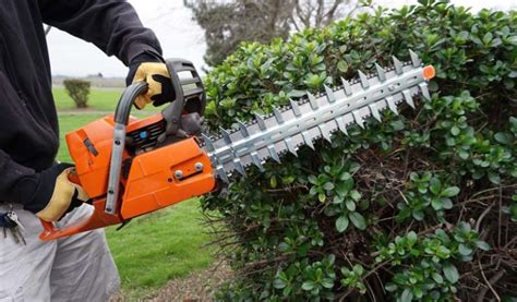 Best Hedge Trimmers Uk 2020 Reviews Buying Guide Offers