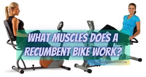 What Muscles Does A Recumbent Bike Work Exercise Bike Advisor