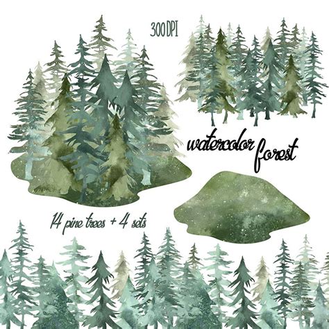 18 Watercolor Pine Trees Clipart Watercolor Forest