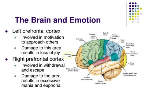 Ppt Emotion Stress And Health Powerpoint Presentation Free Download