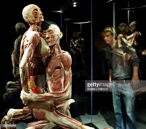 Two Plastinated Human Bodies Are Exhibited At The Body Worlds And The