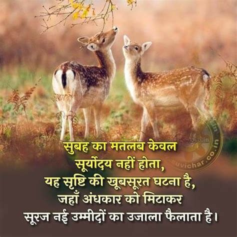 Explore amazing good morning wishes, beautiful good morning greetings wishes, good morning whatsapp wishes in hindi and facebook good morning wishes for friends. Good morning | Hindi good morning quotes, Good morning beautiful images, Good morning in hindi