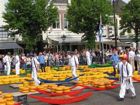 Visit Alkmaar In The Netherlands Netherlands Community