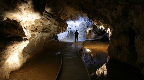 Waitomo Caves Holidays Cheap Waitomo Caves Holiday Packages And Deals