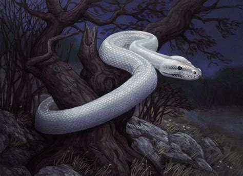 Click or tap to move the snake. (HQ/HD/3D): White Snake Wallpapers